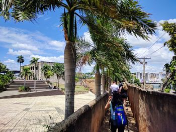 Rear view of people walking on palm trees against sky