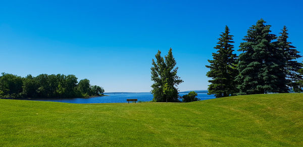 Scenic view of field against clear blue sky