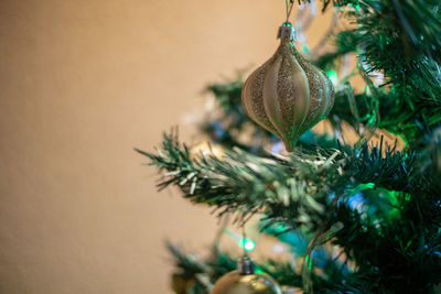 Close-up of christmas tree