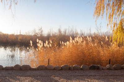 Scenic view of lake against clear sky