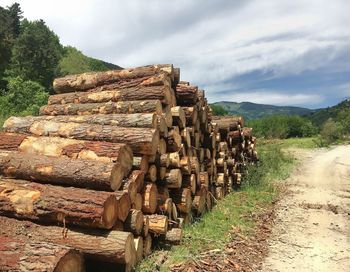 Stack of logs on field against sky