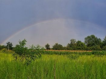 Scenic view of field against rainbow in sky