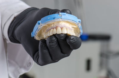 Cropped hand of dentist holding dentures