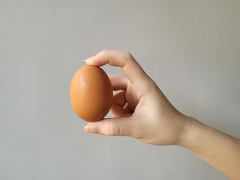 egg