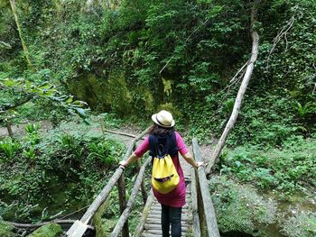 Rear view of man in forest