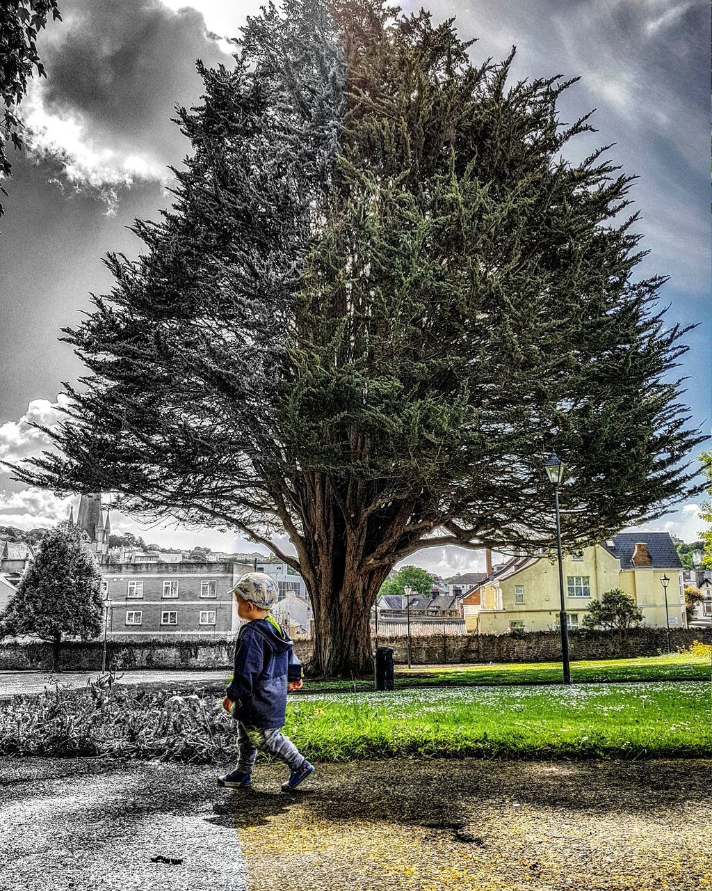 BOY AND BARE TREE IN FRONT OF BUILDING