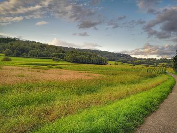 Scenic view of agricultural field against sky