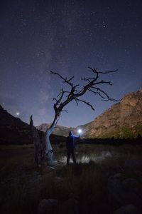 Man standing by tree against sky at night