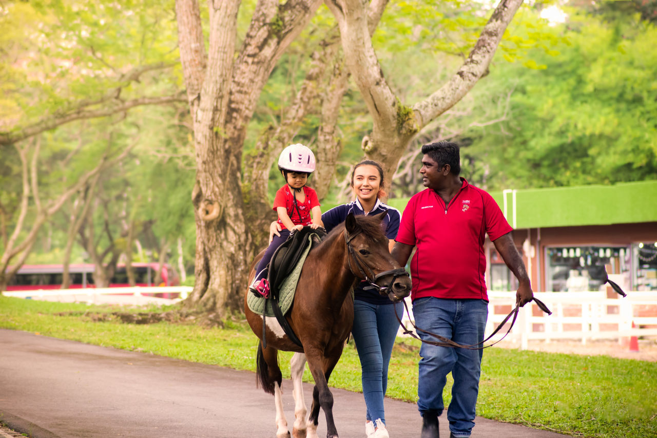 group of people, mammal, women, domestic animals, domestic, togetherness, tree, men, adult, pets, horse, girls, full length, front view, child, males, leisure activity, daughter, outdoors