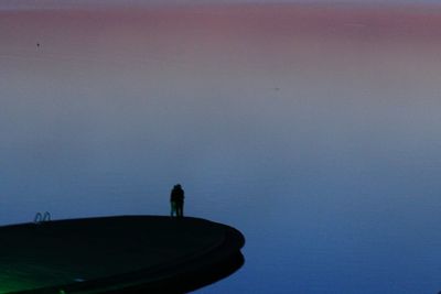 Silhouette people standing against sky at dusk