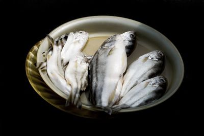 High angle view of fish on black background