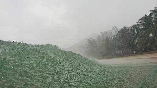 Wet road amidst trees against sky during rainy season