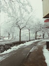 Road by trees against sky during winter