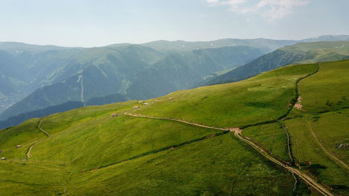 Mountain landscape with green grass / turkey / trabzon