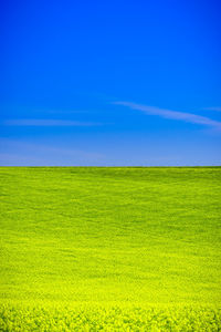 Scenic view of field against blue sky
