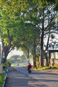 Man riding bicycle on road in city