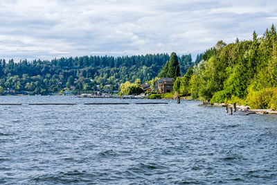 A view of the shoreline at gene coulon park in renton, washington.