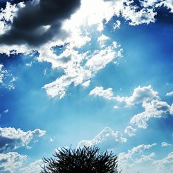 Low angle view of trees against cloudy sky