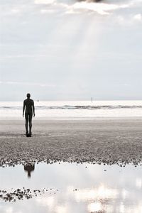 Rear view of silhouette people on calm beach