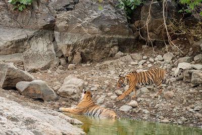 View of a drinking water from rock