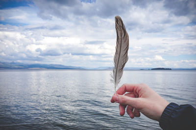 Close-up of hand holding feather against sky