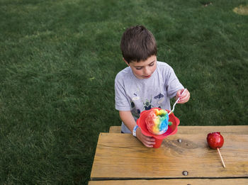 High angle view of boy eating flavored ice while sitting on bench at park