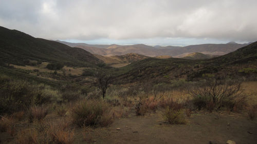 Scenic view of landscape against sky