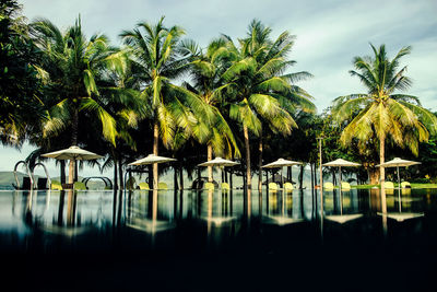 Scenic view of palm trees and deckchairs with umbrella reflecting in pool