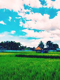 Scenic view of agricultural field against sky
