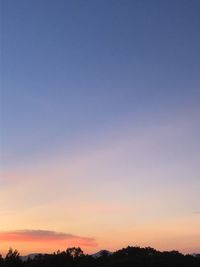 Silhouette trees against clear sky during sunset