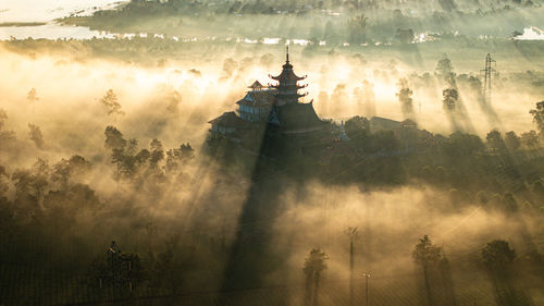 fog