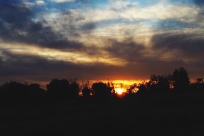 Silhouette trees against sky during sunset