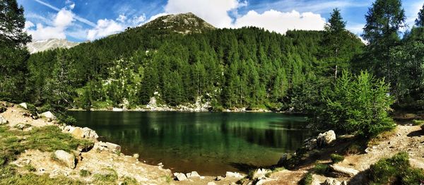 Scenic view of mountains covered with pine trees with lake in foreground