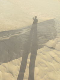 Shadow of man on sand at beach