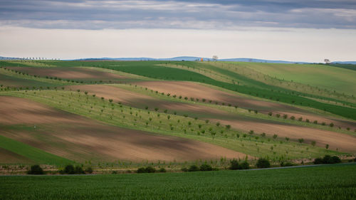 Scenic view of agricultural field against sky, rolling landscape 