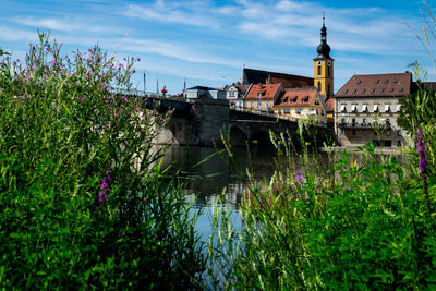 Scenic view of river amidst buildings against sky