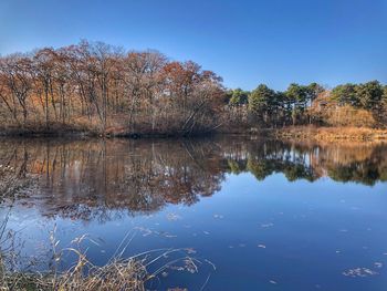 Scenic view of lake against clear blue sky