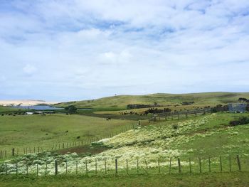 Scenic view of agricultural field against sky