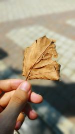 Close-up of hand holding autumn leaf