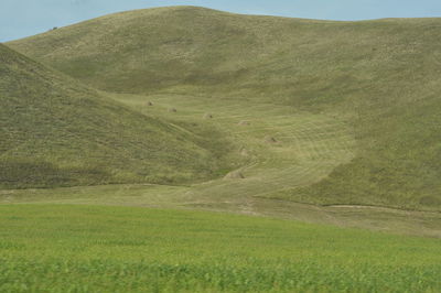 Scenic view of farm against sky