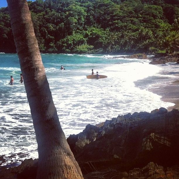 water, tree, sea, beach, leisure activity, lifestyles, beauty in nature, nature, scenics, tranquility, tranquil scene, men, shore, vacations, tree trunk, tourist, incidental people, person, tourism