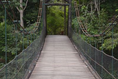 Footbridge amidst trees in forest