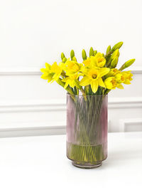 Close-up of flowers in vase against white background