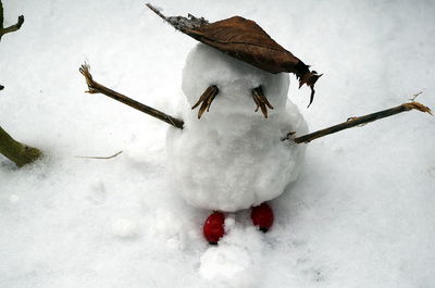 Close-up of snow covered tree