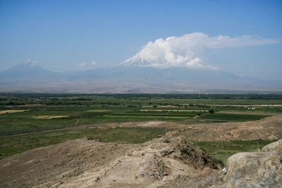 Scenic view of agricultural field against sky