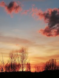 Silhouette bare trees against sky during sunset