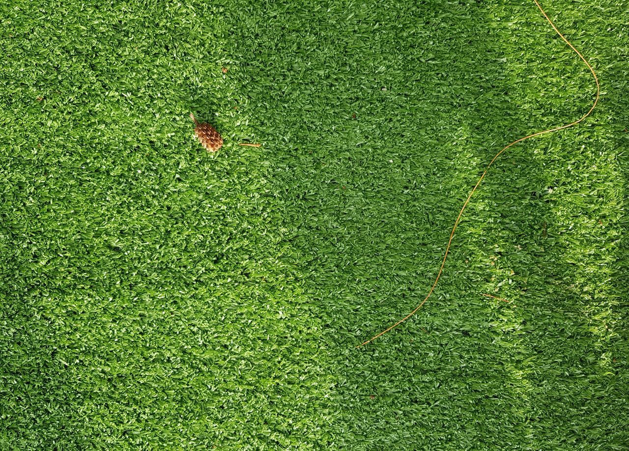 HIGH ANGLE VIEW OF GREEN FIELD