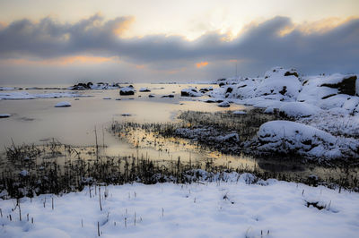 Flock of birds in snow against sky during sunset