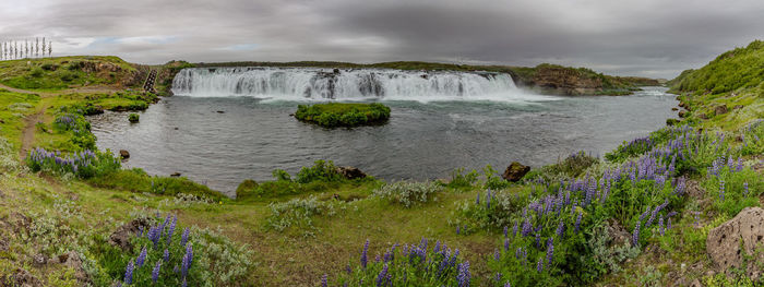 Impressive faxi waterfalls in iceland in summer