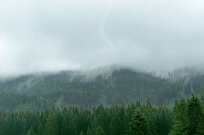 Scenic view of trees and mountains against sky